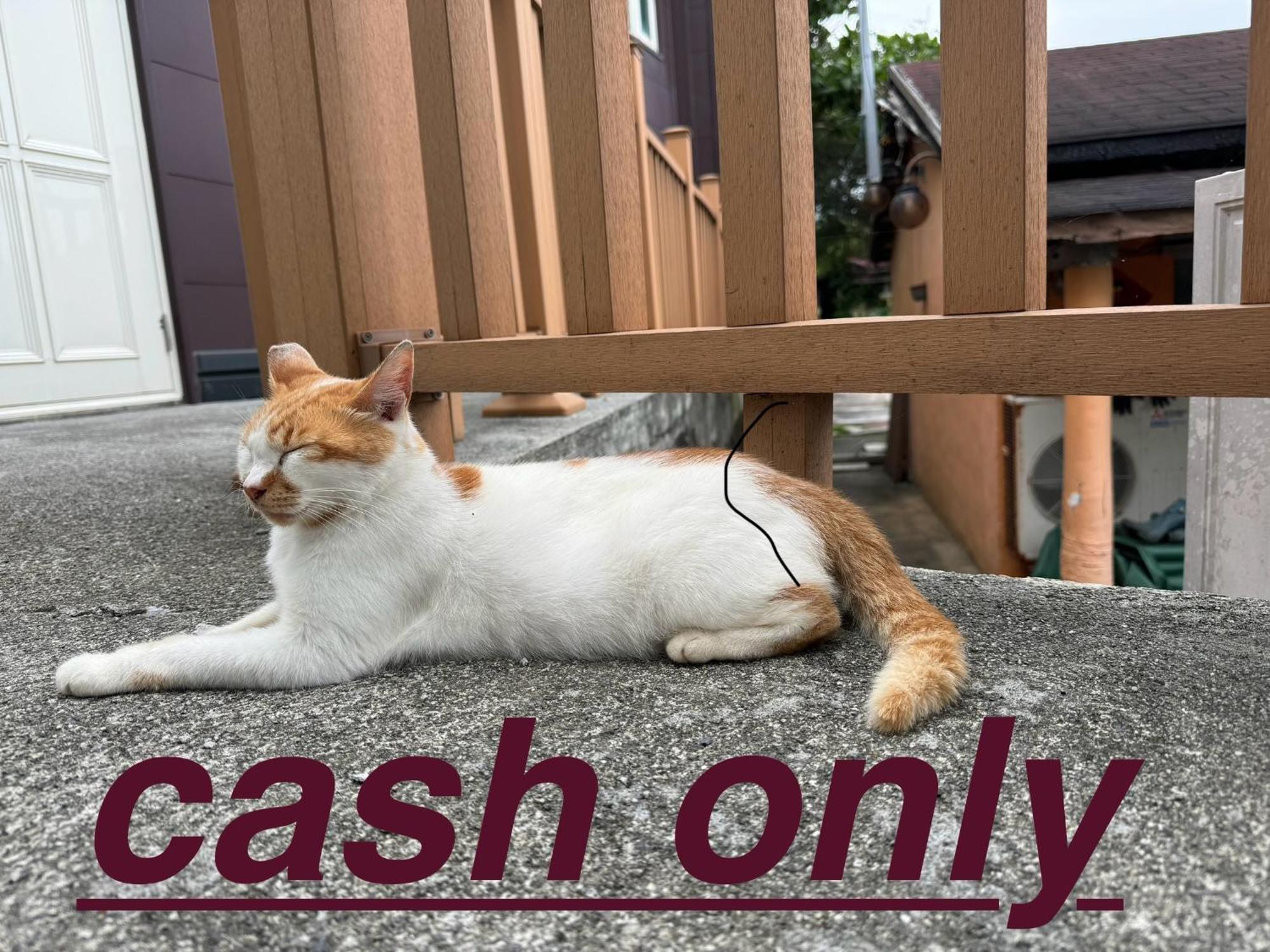 Ferienwohnung 貓居 Ocean House Dahan Exterior foto